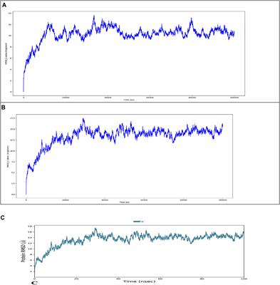 Novel Disease-Associated Missense Single-Nucleotide Polymorphisms Variants Predication by Algorithms Tools and Molecular Dynamics Simulation of Human TCIRG1 Gene Causing Congenital Neutropenia and Osteopetrosis